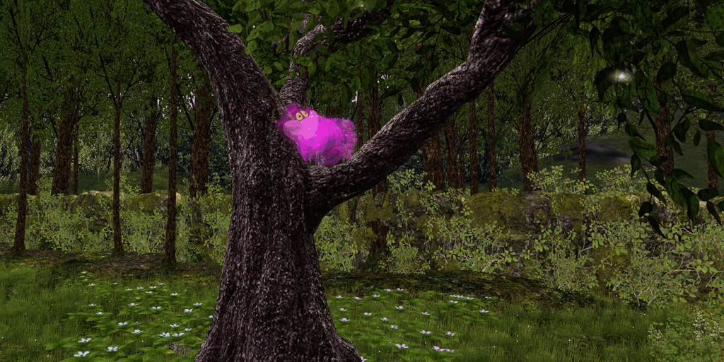 Cheshire Cat Market Pboto 13